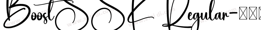 BoostSSK Regular字体转换